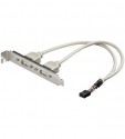 USB SLOT Blende, USB 2.0, 8 PIN Stecker - 0,20m SLOT BRACKET USB 2x USB 2.0 1x 8 PIN II