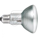 Philips EcoClassic30 NR80  42W E27 M