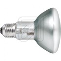 Philips EcoClassic30 NR80  70W E27 M