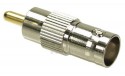 Video Adapter, InLine�, 1x Cinch Stecker auf BNC Buchse